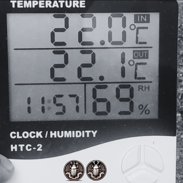 🌡️ ¿Sabías que tu contenedor de Tenebrios puede ser un horno?